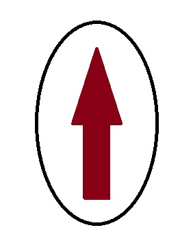 A black oval, representing a roasting pan, longways going vertical, with a red arrow in the center, representing the hen, pointing up.